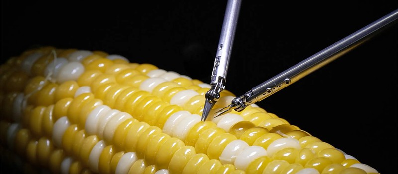 Новый робот для микроскопической хирургии от Sony зашил кукурузное зерно