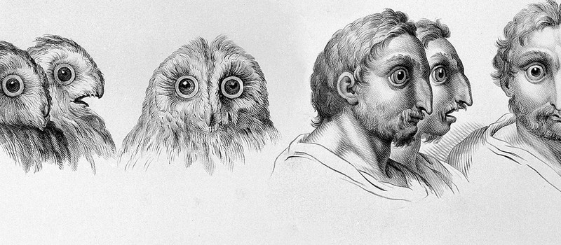 Зарисовки эпохи Ренессанса с ранними идеями эволюции