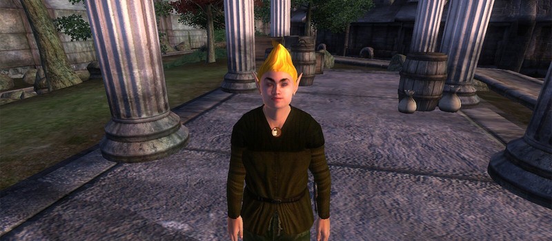 Фанаты просят не трогать внешность Восторженного фаната в ремастере Oblivion