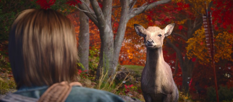 Датамайнеры нашли доказательства разработки мультиплеера для Assassin's Creed Shadows