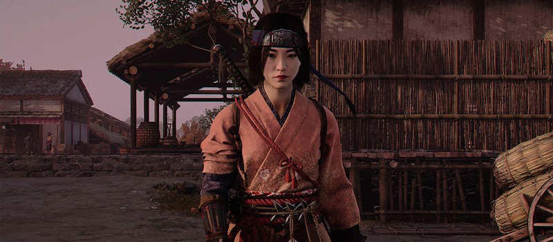 Ubisoft анонсировала план пост-релизной поддержки Assassin's Creed Shadows: новые сюжетные миссии, паркур-апдейты и Новая игра+