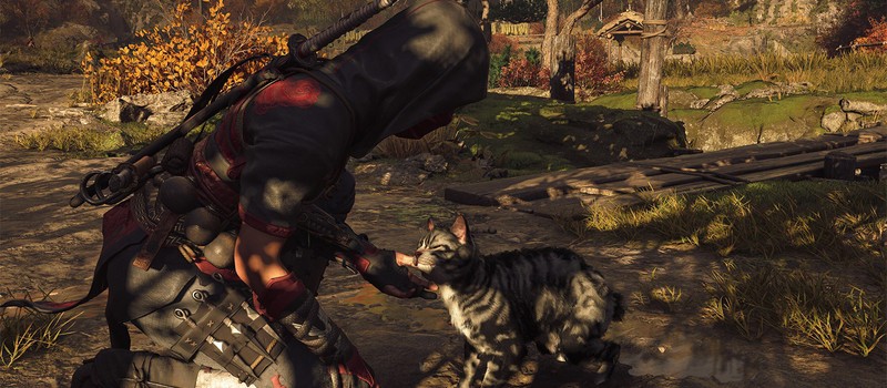 Ubisoft объяснила отсутствие возможности убивать животных в Assassin's Creed Shadows