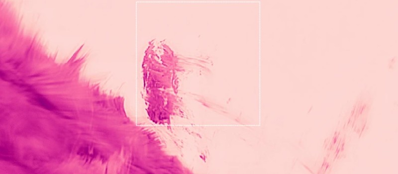 Новый телескоп показал "дождь" в солнечной короне с беспрецедентной детализацией