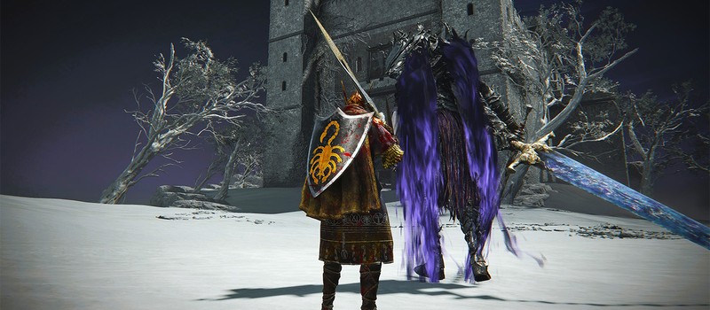 Исследователь Elden Ring Nightreign выяснил, почему возрождение павшего игрока с тремя сегментами занимает так много времени
