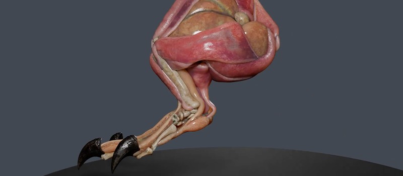 3D-художник показал реалистичную симуляцию дрожащих мышц монстра