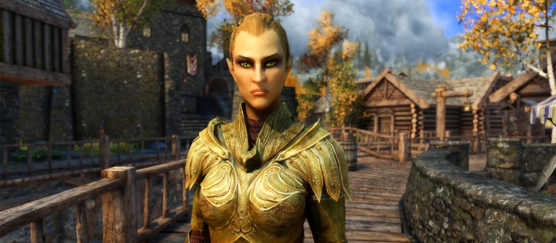 Мод Echoes of Oblivion добавляет в Skyrim радиальные диалоги и особенности NPC из Oblivion
