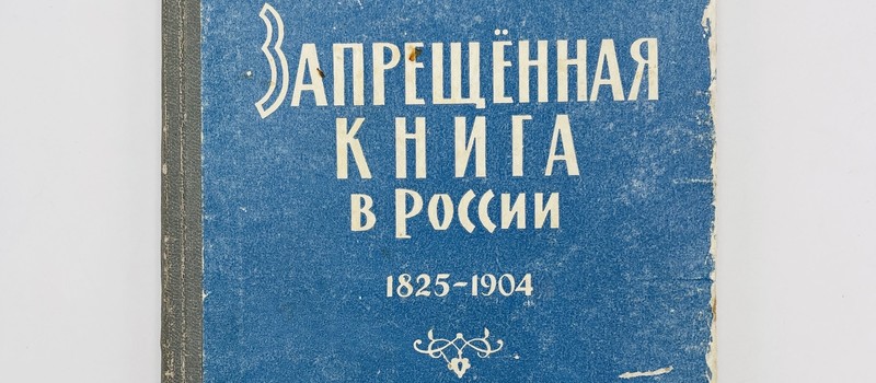 Сенатор Шейкин объяснил, что россиян не будут штрафовать за вход в запрещенные социальные сети