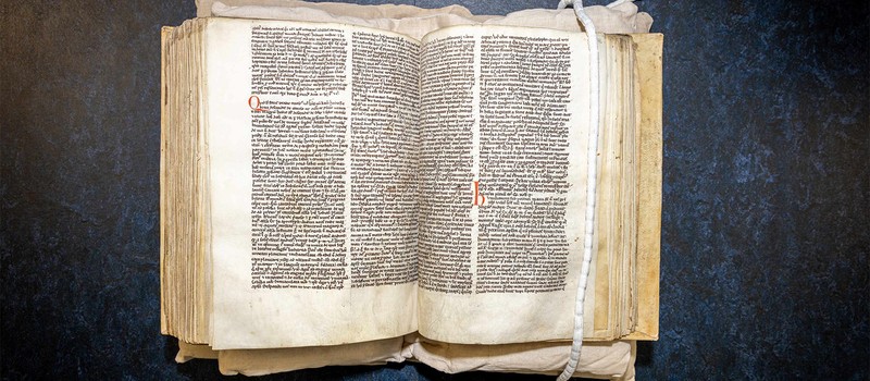 Исследователи раскрыли 130-летнюю литературную загадку, связанную с эльфами, волками и средневековым мемом