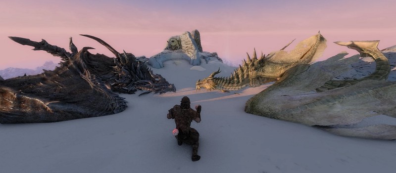 Моддеры превратили Skyrim в аналог Pokemon – теперь в игре можно ловить и приручать монстров