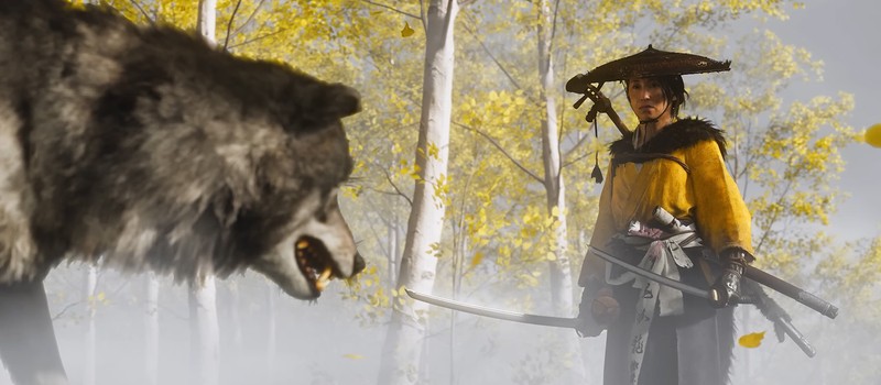 Разработчики Ghost of Yōtei опровергли теорию фанатов о волке-реинкарнации Дзина из первой игры