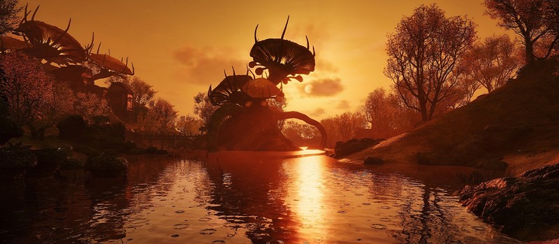 Анализ патча 1.2 для Oblivion Remastered не показал улучшений производительности на консолях, несмотря на заверения Bethesda