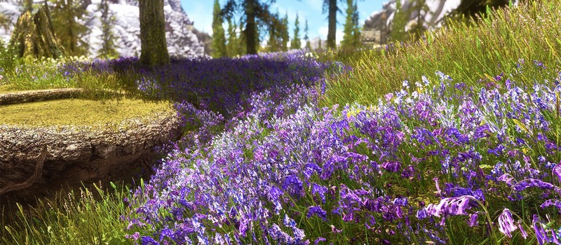 Игрок Skyrim случайно узнал о своем дальтонизме благодаря цветам на горных склонах