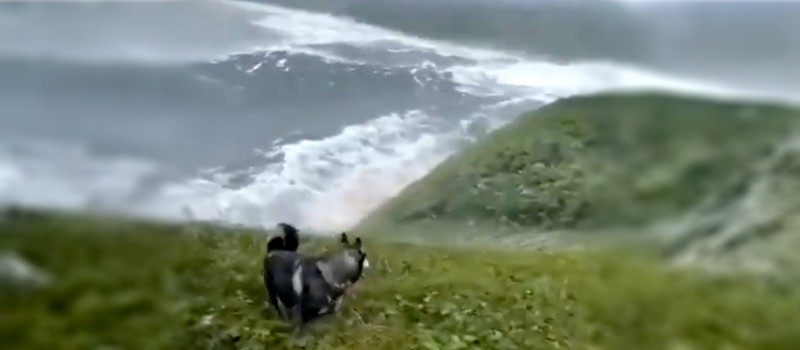 Житель Камчатки снял на видео огромное цунами, наступающее на холмы после мощного землетрясения