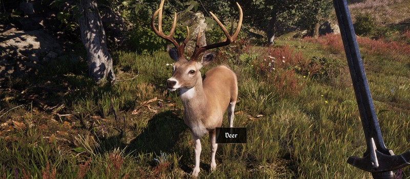 Игрок Oblivion Remastered с удивлением обнаружил впечатляющее внимание к анатомии животных – не уступает RDR 2