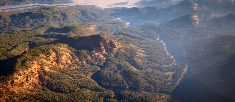 Разработчик запустил лес в Unreal Engine 5.7 из 200 триллионов полигонов на одной видеокарте RTX 4090