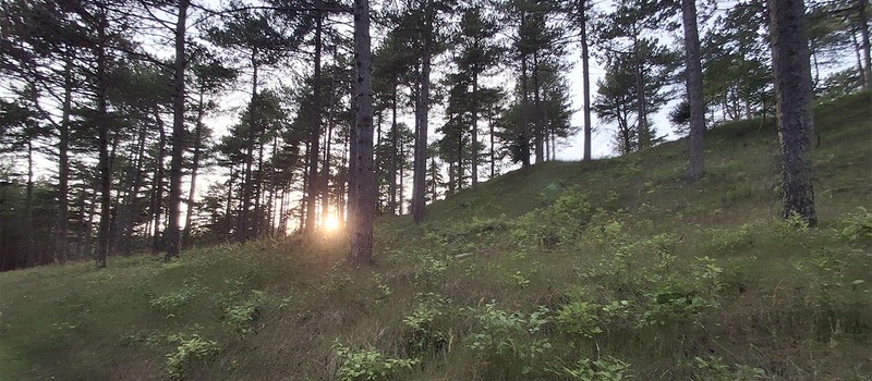 Поклонник Oblivion Remastered настолько заигрался что увидел Сиродил в реальности