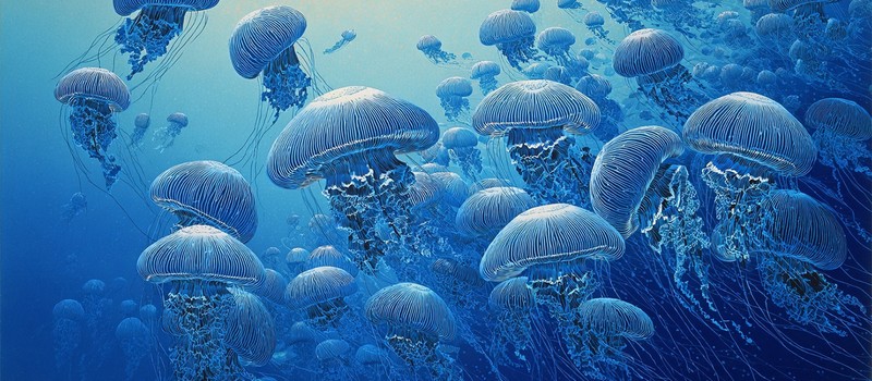 Нашествие медуз привело к остановке крупнейшей французской АЭС – четыре реактора отключены