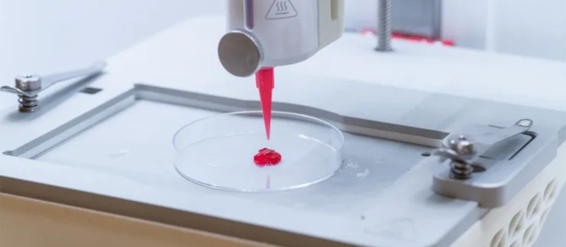 Шведские учёные создали революционные методы 3D-печати искусственной кожи с кровеносными сосудами
