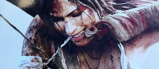 Детали Tomb Raider