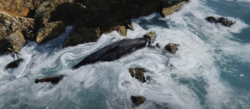 Бесплатное демо системы симуляции воды для Unity позволяет часами играться с потоками