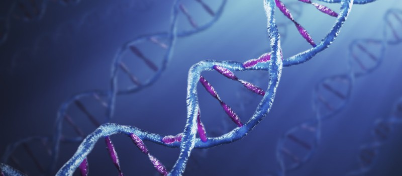 Новое "техническое" слово в исследовании ДНК