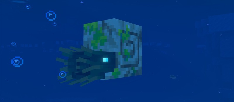Геймер обнаружил в Minecraft способ получать воду в Незере благодаря Наутилусу-зомби
