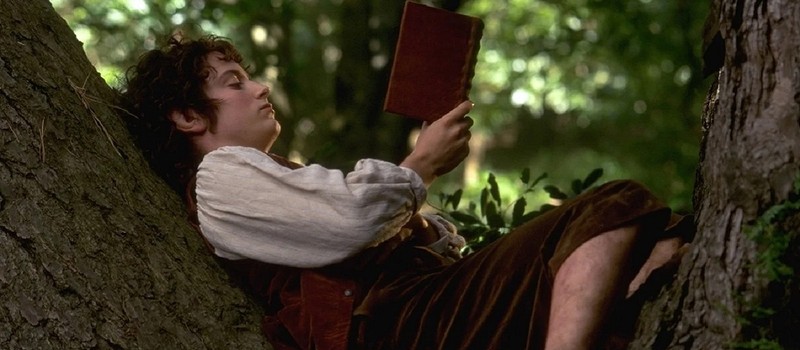 Элайджа Вуд неожиданно появился на свадьбе фанатов "Властелина колец" в Хоббитоне