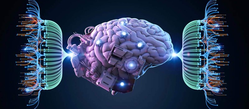 Ученые создали самую детальную симуляцию мозга мыши на суперкомпьютере Fugaku