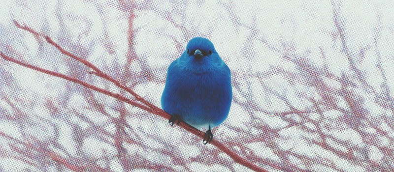 X начала показывать страну пользователя и историю смены никнейма