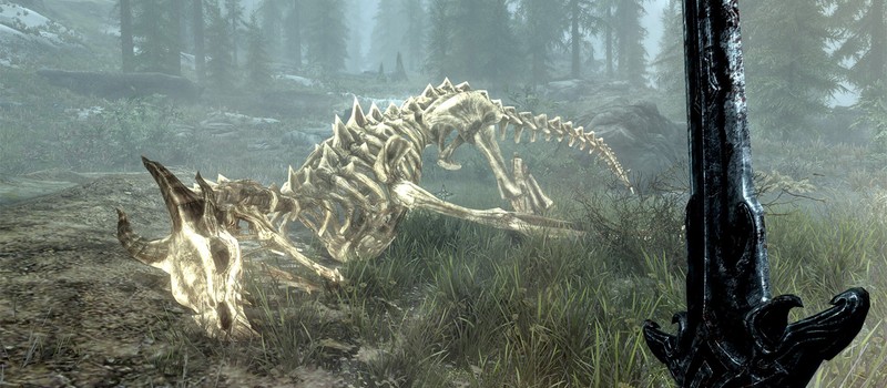 Необычная забава игроков Skyrim – запуск мертвых драконов в небо ради последнего полёта