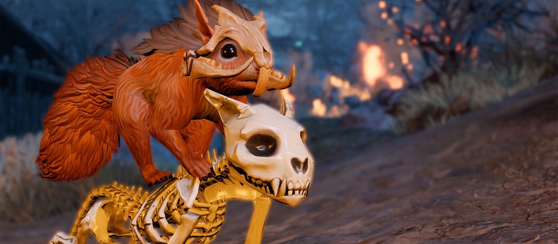 Директор Baldur's Gate 3 пытался удалить ненавистную белку из Divinity: Original Sin 2 – все безуспешно