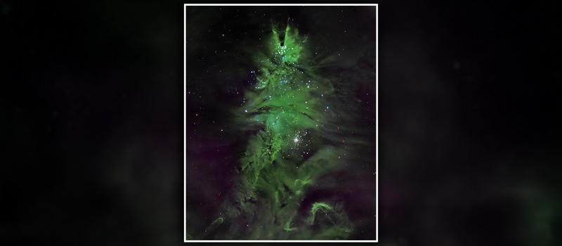 NASA показала космическую рождественскую ёлку из молодых звёзд