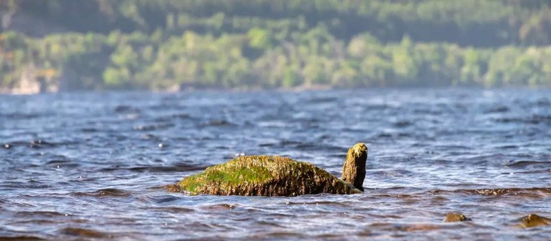 Охотник на Лох-несское чудовище после десятилетий поисков заявил, что монстр не существует