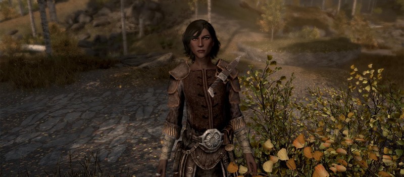 Фанатский мод для Skyrim создал спутника с 6450 озвученными репликами