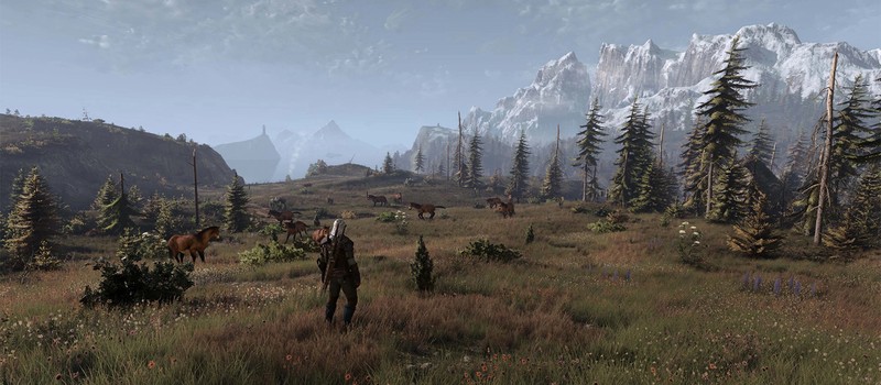 Мод для The Witcher 3 делает траву гораздо красивее во всех регионах – без серьезного падения частоты кадров