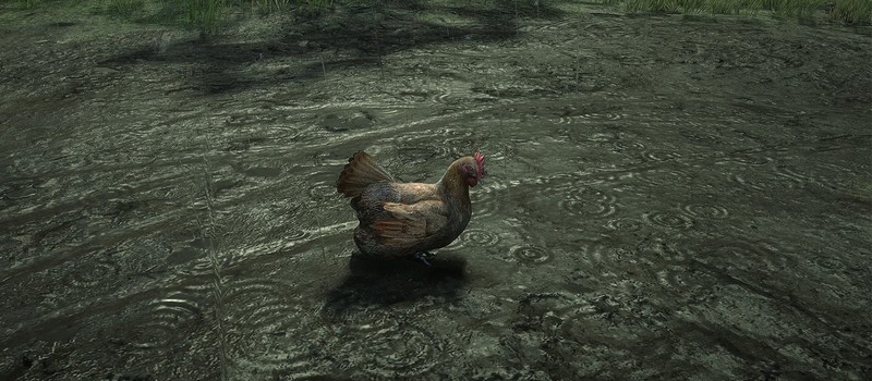 Моддер выпустил 53-гигабайтный пак HD-текстур для Red Dead Redemption 2 с реалистичной погодой