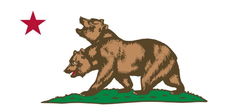 В дикой природе заметили двуголового медведя – фанаты сразу начали шутить о Fallout и НКР