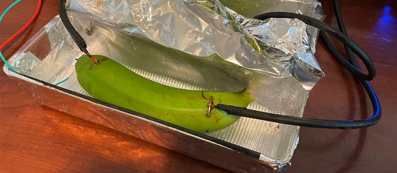 Аудиофилы не смогли отличить звук через профессиональный кабель от звука через банан и ведро грязи