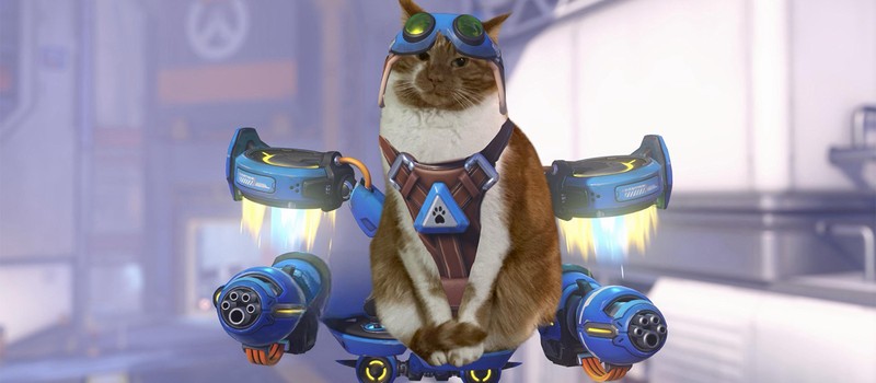 Фанаты Overwatch наряжают своих котов в Реактивного Кота и заполняют интернет очаровательными фотожабами