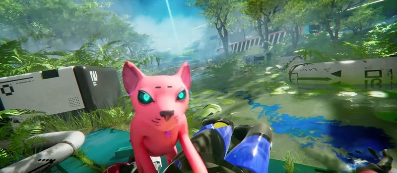 Игроки Marathon нашли место, где можно сфотографироваться с розовым робо-котом по имени Бингус