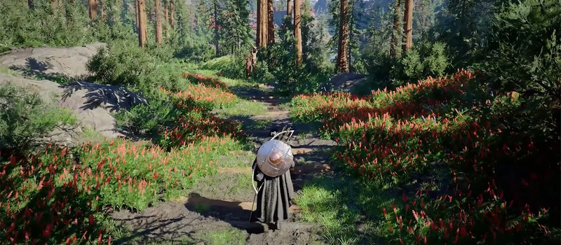 Шесть часов в Crimson Desert не хватило даже на разминку – что рассказали журналисты после масштабного превью