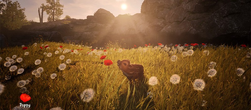 Милейший поросёнок Борис отправляется на поиски семьи – у уютной Adorable Adventures появилась дата выхода