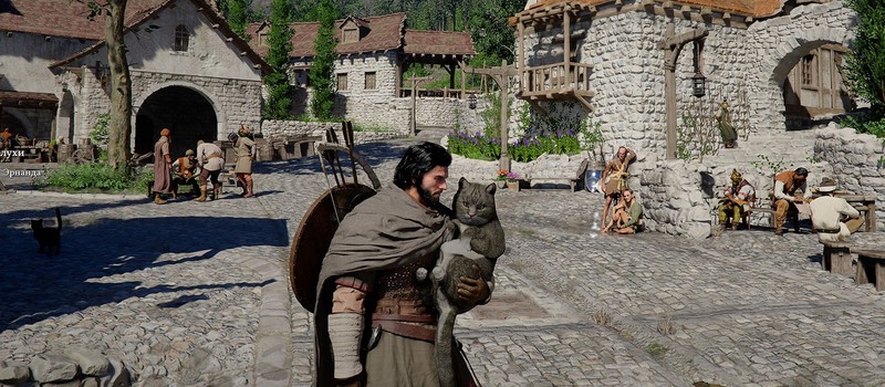 Crimson Desert не работает на видеокартах Intel Arc – Pearl Abyss советует оформить возврат