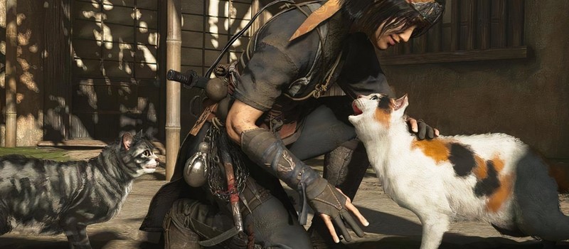 Игроки Assassin's Creed Shadows за год погладили более 26 миллионов кошек