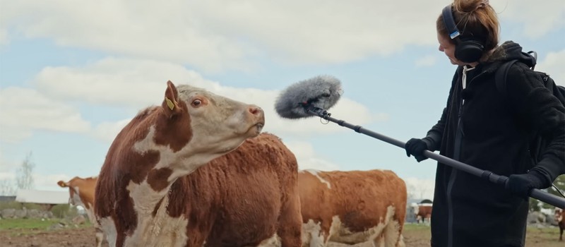 Mojang наняла мастера по коровам и настоящих животных для записи звуков в Minecraft