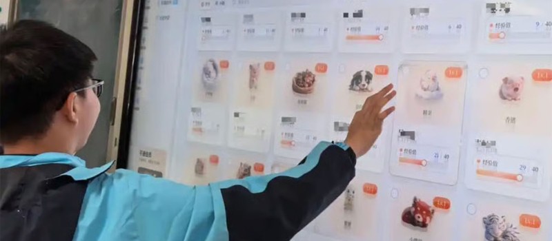 В китайских школах детей мотивируют учиться с помощью цифровых питомцев