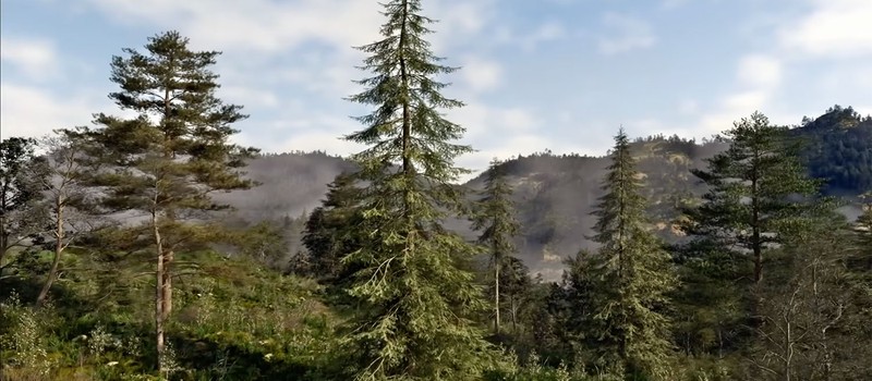 Демо с красивыми лесами The Witcher 4 на RTX Mega Geometry отображало 60 миллионов растений и работало на 80 кадрах в секунду в 4K на RTX 5090