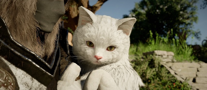 Издатель Palworld согласился с нехваткой врагов на позднем этапе Crimson Desert и посоветовал отличное место для прохождения испытаний