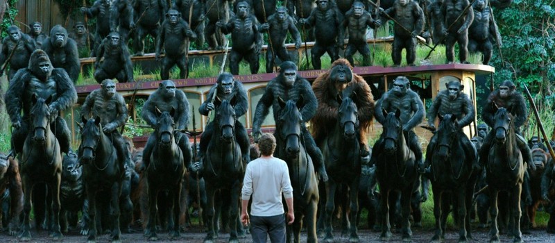 Ученые впервые наблюдали "гражданскую войну" внутри огромной группы шимпанзе