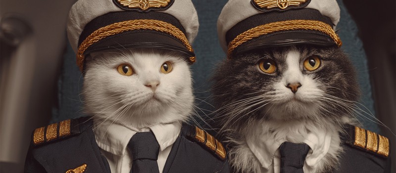 Пилоты начали мяукать в эфире и попали под расследование авиационной комиссии